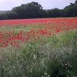 Maudon Coeur De Baie