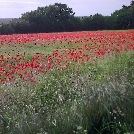 Maudon Coeur De Baie