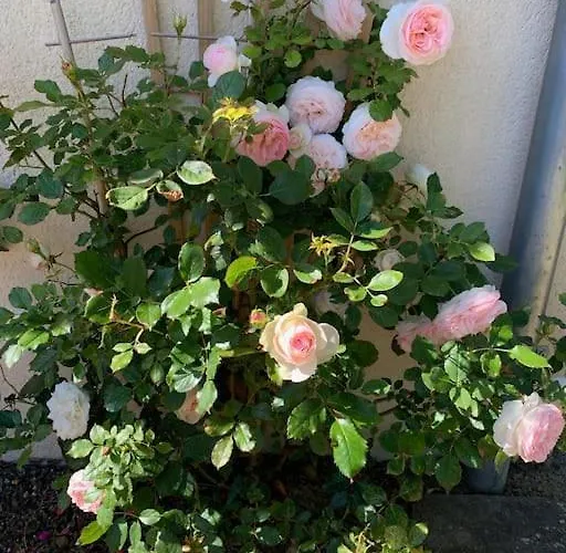 Bed & Breakfast Maudon Coeur De Baie Ponts